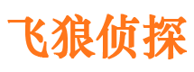 芦山外遇出轨调查取证